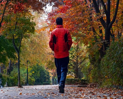 A man walking briskly in a city park filled with autumn leaves