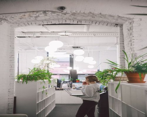 A bright and modern creative office workspace with green plants and natural light